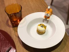 -柴务处·柴犬主题狗咖