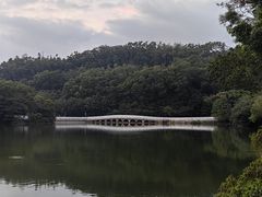 -深圳仙湖植物园