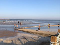 -刘家湾赶海园