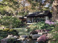 -惠山古镇·寄畅园