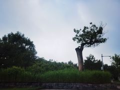 -北坞公园