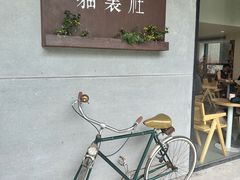 -猫里有甜