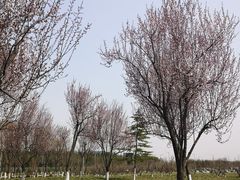-洨河生态公园