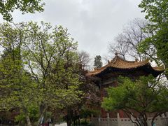 -西安碑林博物馆