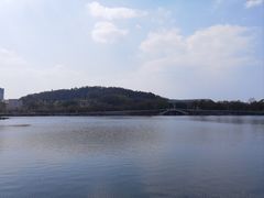 -有心德(麦地店)