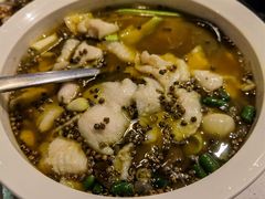 老坛青花椒酸菜鱼-拈菜(观音桥阳光世纪店)