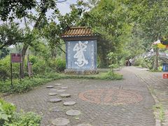 -靖西鹅泉风景区