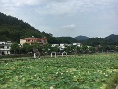 -红山村