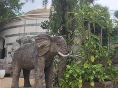 -海口观澜湖火山温泉谷