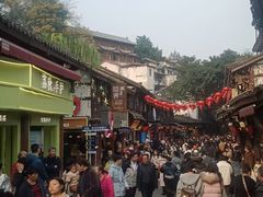 -胖娃古镇鸡杂(磁器口总店)