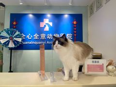 -全心全意连锁动物医院(加州店)