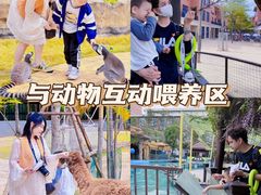 -灵玲国际马戏城