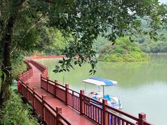 -广州白江湖森林公园