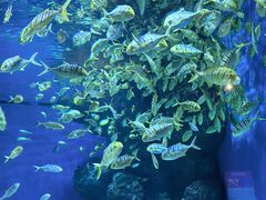 -成都浩海立方海洋公园