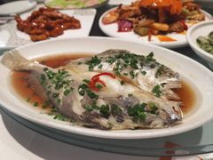 -乾隆美食·本帮菜(黄河路店)