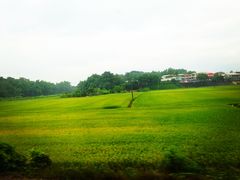 -文府路口(Taiwan High Speed Rail Zuoying Station)