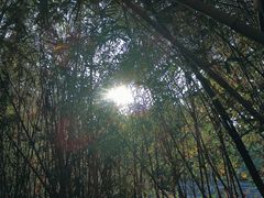 -深圳野生动物园