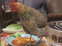 -韩悦牛排烤肉无限续(宝能中心店)