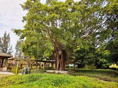 -大嶝英雄三岛战地观光园