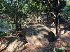 -火炉山森林公园