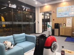 -爱妮康宠物医院·干细胞免疫细胞·肿瘤·心脏(张江店)