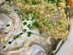 清蒸海鲈-榕记(番禺总店)