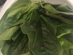 -草原传奇鲜羊火锅(桥北店)