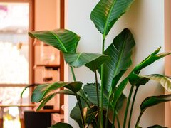 -Line 咖啡(石厦花园店)