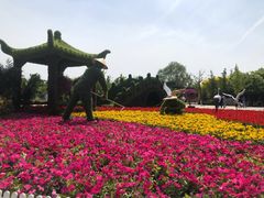 -河北省园博园