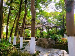 -东莞植物园