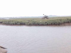 iphone_upload_pic-洛阳桥