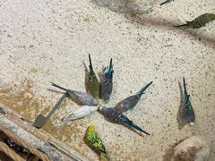 -上海昆虫博物馆