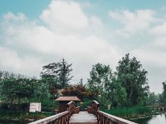 -微山湖红荷湿地景区