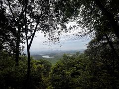 -大奇山国家森林公园