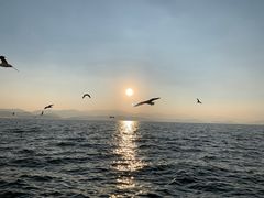-大理洱海