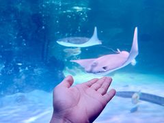 -沈阳海洋探索中心