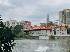 -荔湾湖公园