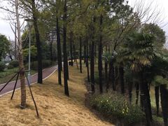 -美兰湖景区