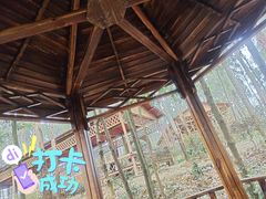 -空港花田景区