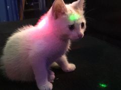 -星宿秘码(鼓浪屿老店)