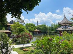 -顺峰山公园