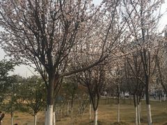 -龙潭水乡