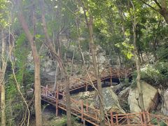 -大岭沟猕猴桃谷风景区