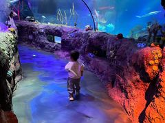 -沈阳海洋探索中心