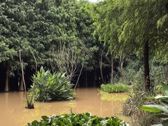 -捞渔河湿地公园