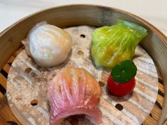 -点都德·毕德寮