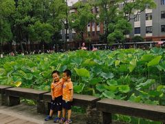 -四川大学(望江校区)