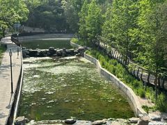 -白水寺森林公园