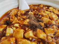 麻婆豆腐-蒲氏烤鸭(百寿路店)