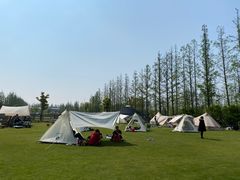 -前小桔亲子创意农场·草莓采摘·露营烧烤